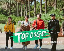 今日吃瓜《TOP DOG》免费在线观看