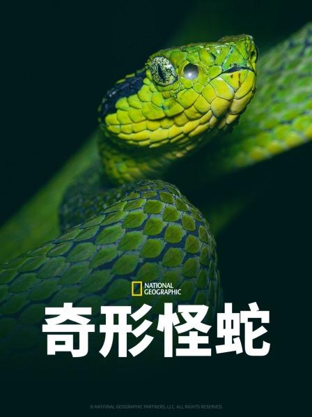 今日吃瓜黑料《奇形怪蛇》免费在线观看